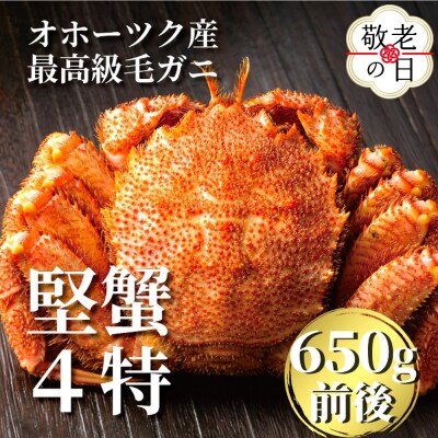 【敬老ギフト】北海道産ボイル毛がに【四特】 大サイズ1尾入り(1尾約650g前後)