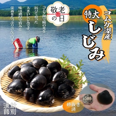 【敬老ギフト】【紋別市コムケ湖産】 手獲り特大しじみ　600g