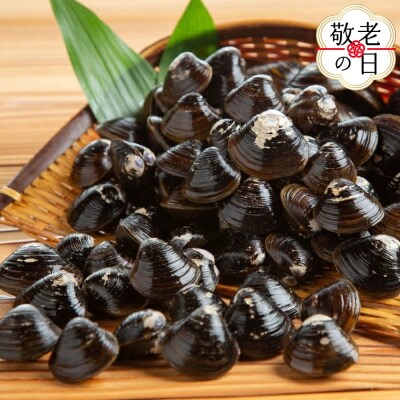 【敬老ギフト】冷凍砂出ししじみドーンと2.5kgセット