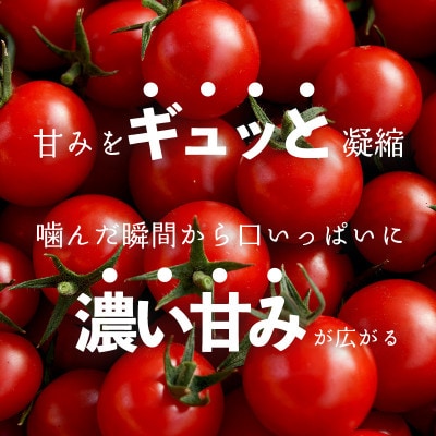 四万十川源流域で育まれた 絶品 フルーツミニトマト 1kg まちだ農園