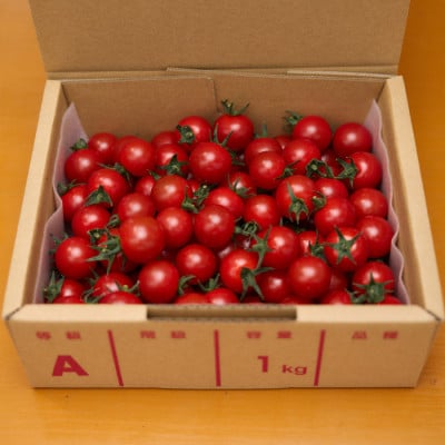 四万十川源流域で育まれた 絶品 フルーツミニトマト 1kg まちだ農園