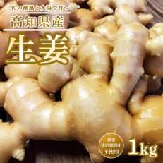 u yI܂ v _sgp I 1kg