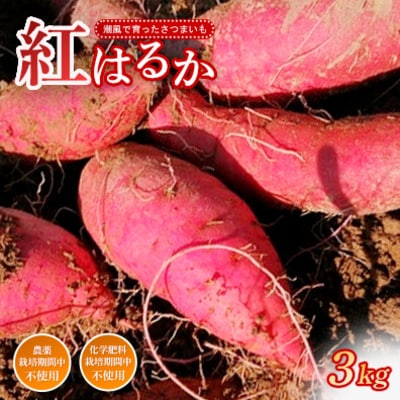 紅はるか 3kg 農薬 化学肥料不使用 さつまいも