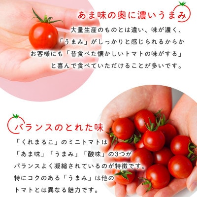 フルーツミニトマト 『 くれまるこ 』 1.2kg