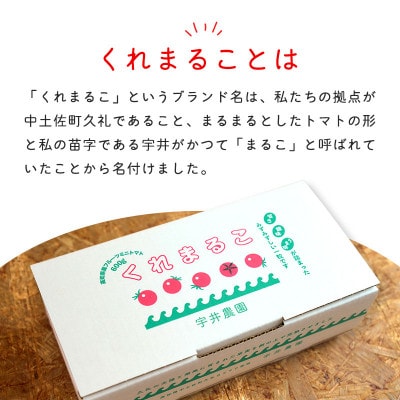 フルーツミニトマト 『 くれまるこ 』 1.2kg