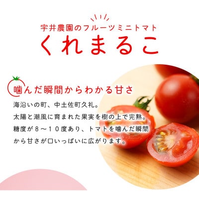 フルーツミニトマト 『 くれまるこ 』 1.8kg