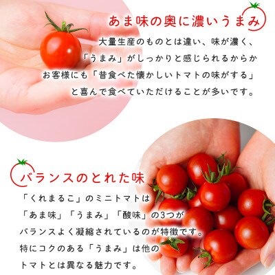 フルーツミニトマト 『 くれまるこ 』 1.8kg