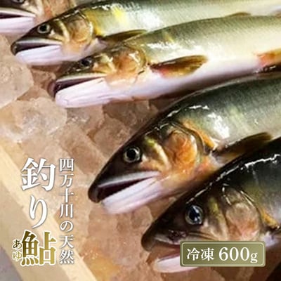 四万十川上流の天然鮎 釣り鮎 600g ( 冷凍 4～12尾 )