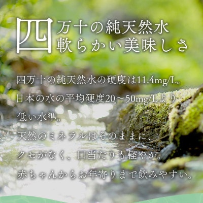 四万十の純天然水 500ml × 24本 2箱セット