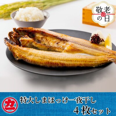 【敬老ギフト】脂の乗った特大しまほっけの一夜干し4枚セット
