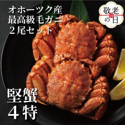 【敬老ギフト】ボイル毛がに(約440g～570g)×2尾