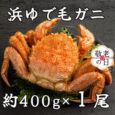 【敬老ギフト】流氷明け浜ゆで毛ガニ約400g
