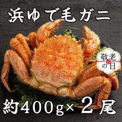 【敬老ギフト】流氷明け浜ゆで毛ガニ約400g×2尾