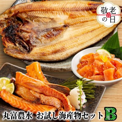 【敬老ギフト】丸富農水お試し海産物セットB