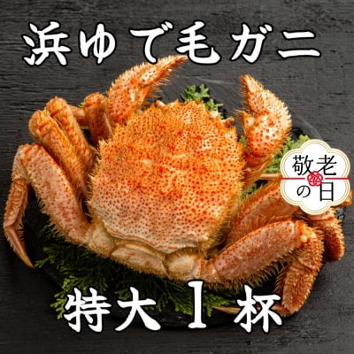 【敬老ギフト】流氷明け浜ゆで毛ガニ　特大1杯