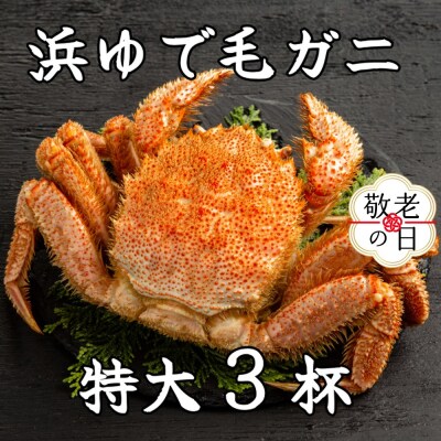 【敬老ギフト】流氷明け浜ゆで毛ガニ　特大3杯