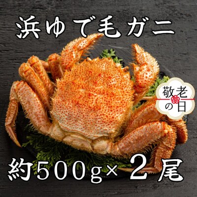 【敬老ギフト】流氷明け浜ゆで毛ガニ約500g×2尾