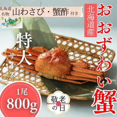 【敬老ギフト】【北海道産】特大サイズ オオズワイガニ姿　800g以上1尾 | 蟹酢・山わさび付　かに