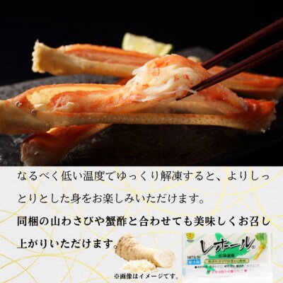 【敬老ギフト】【北海道産】特大サイズ オオズワイガニ姿　800g以上1尾 | 蟹酢・山わさび付　かに