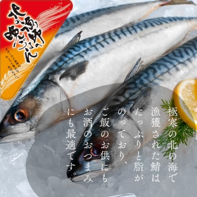 【敬老ギフト】【お手軽調理】炙り塩さば【紋別漁師食堂】