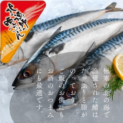 【敬老ギフト】【お手軽調理】さばの味噌煮【紋別漁師食堂】