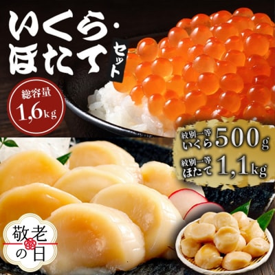【敬老ギフト】紋別一等～いくら醤油漬け500gほたて1.1kgセット