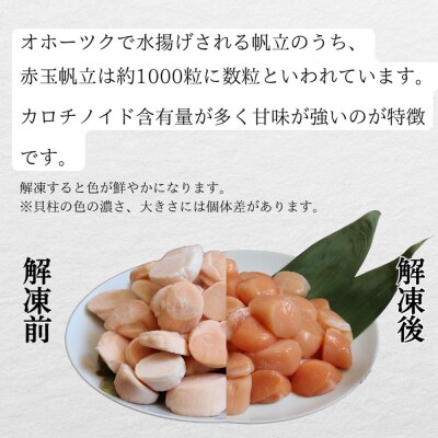 【敬老ギフト】【希少】お刺身用 赤帆立800g×2セット　|北海道産　グルメ　海鮮丼
