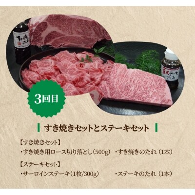 【定期便3回】1度で2つが楽しめる!山の幸コース_S999-T07
