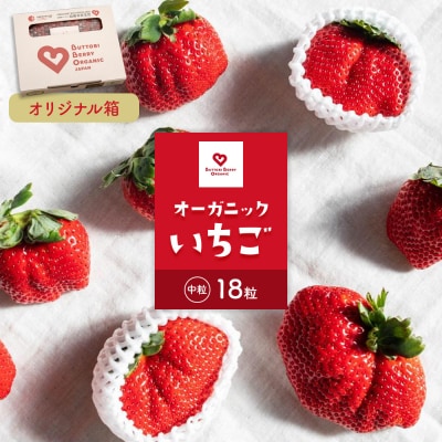 とくしまオーガニックいちご 中粒18粒(約380g)1箱【BL010】