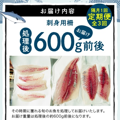 【隔月　3回お届け】天草天然鮮魚を直送　お刺身用柵定期便_S121-T04