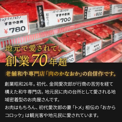 【スピード発送】 昔なつかしコロッケ 10個入(おからコロッケ、和牛コロッケ各5個) 揚げ物 惣菜