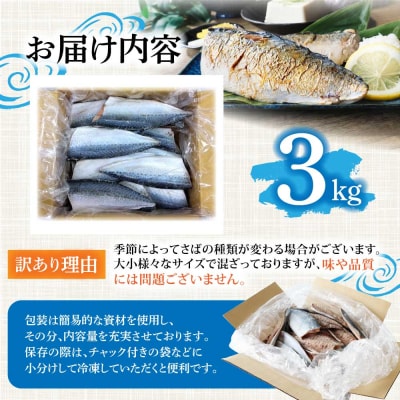 訳あり 国産 塩サバ 切り身 約3kg(約18枚)味付き・冷凍【R01426】