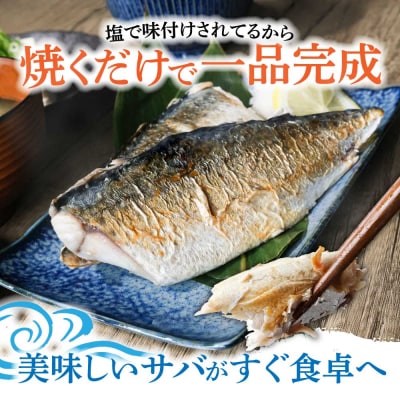 訳あり 国産 塩サバ 切り身 約2kg(約12枚)味付き・冷凍【R01425】