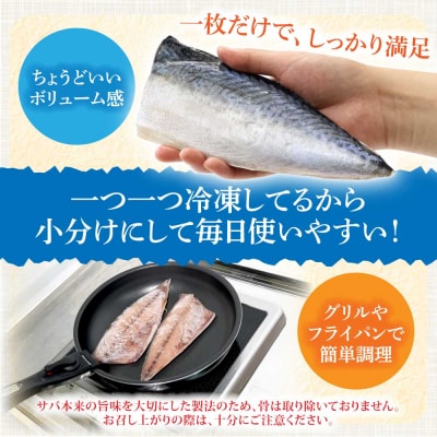 訳あり 国産 塩サバ 切り身 約2kg(約12枚)味付き・冷凍【R01425】