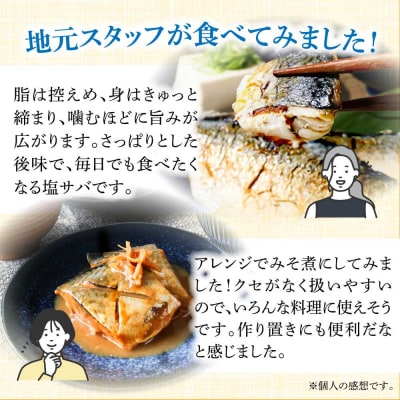 訳あり 国産 塩サバ 切り身 約2kg(約12枚)味付き・冷凍【R01425】
