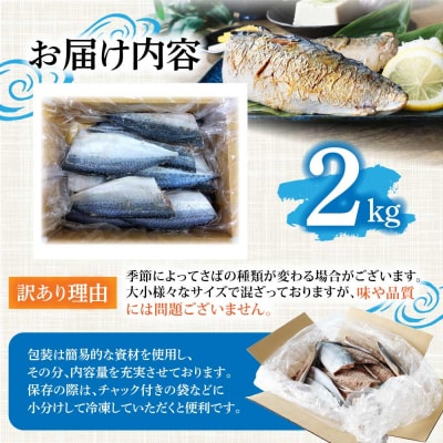 訳あり 国産 塩サバ 切り身 約2kg(約12枚)味付き・冷凍【R01425】