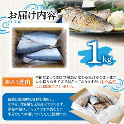 訳あり 国産 塩サバ 切り身 約1kg(約6枚)味付き・冷凍【R01424】