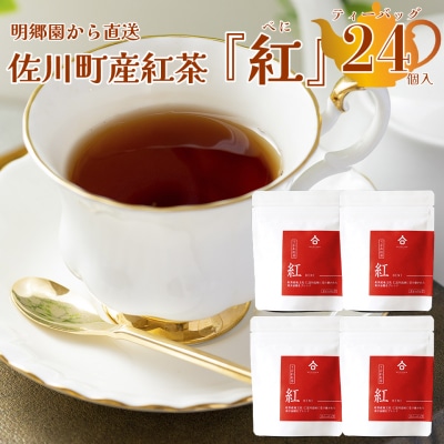 お山の茶　明郷園　さかわ紅茶「紅」セット