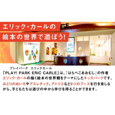 PLAY! PARK ERIC CARLE 入場チケット 1枚(大人1名・子ども1名 計2名様分)