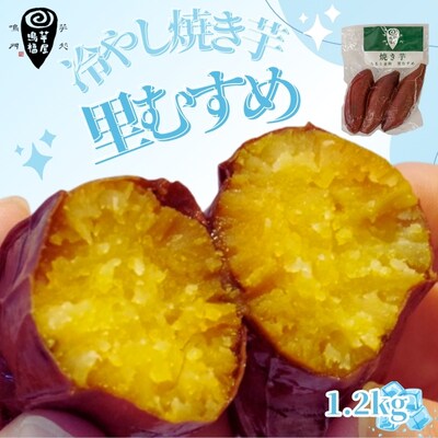 冷やし焼き芋 里むすめ 1.2kg 【芋屋鳴福】
