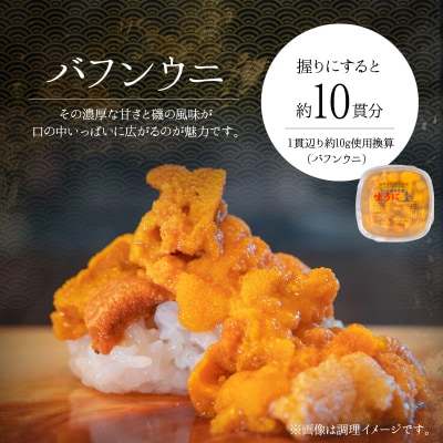 【2026年夏!新岡商店より発送】塩水バフンウニ(100g)【銀座の高級寿司店】_Y037-0340