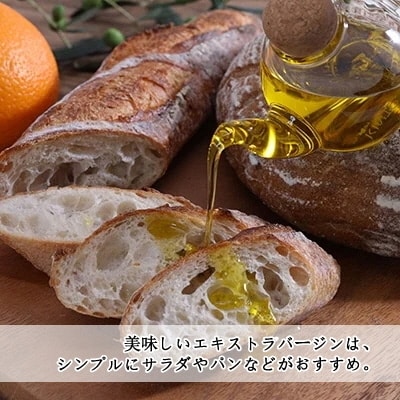 有機栽培 エキストラバージン オリーブオイル ブレンド 2本セット[No.5735-0393]