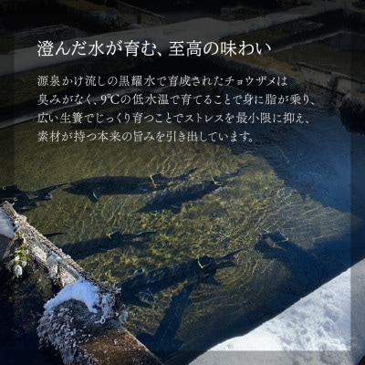 黒耀 信州キャビア 塩香 -Enka- 20g シェルスプーン・化粧箱付