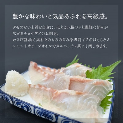 黒耀 蝶鮫のお刺身　100g