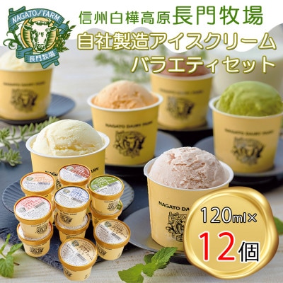 長門牧場　自社製造アイスクリーム　贅沢バラエティセット12個　クリスマススイーツギフト　長野県お歳暮