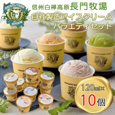 長門牧場　自社製造アイスクリーム　贅沢バラエティセット10個　クリスマススイーツギフト　長野県お歳暮