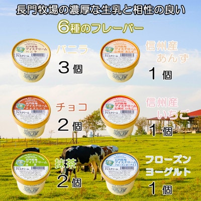 長門牧場　自社製造アイスクリーム　贅沢バラエティセット10個　クリスマススイーツギフト　長野県お歳暮