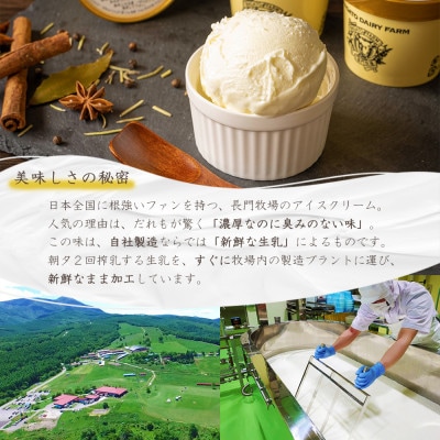 長門牧場　自社製造アイスクリーム　贅沢バラエティセット10個　クリスマススイーツギフト　長野県お歳暮