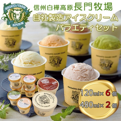 長門牧場　自社製造アイスクリーム　贅沢大サイズバラエティセット　クリスマススイーツギフト長野県お歳暮