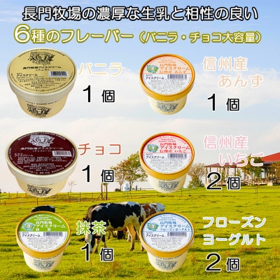 長門牧場　自社製造アイスクリーム　贅沢大サイズバラエティセット　クリスマススイーツギフト長野県お歳暮